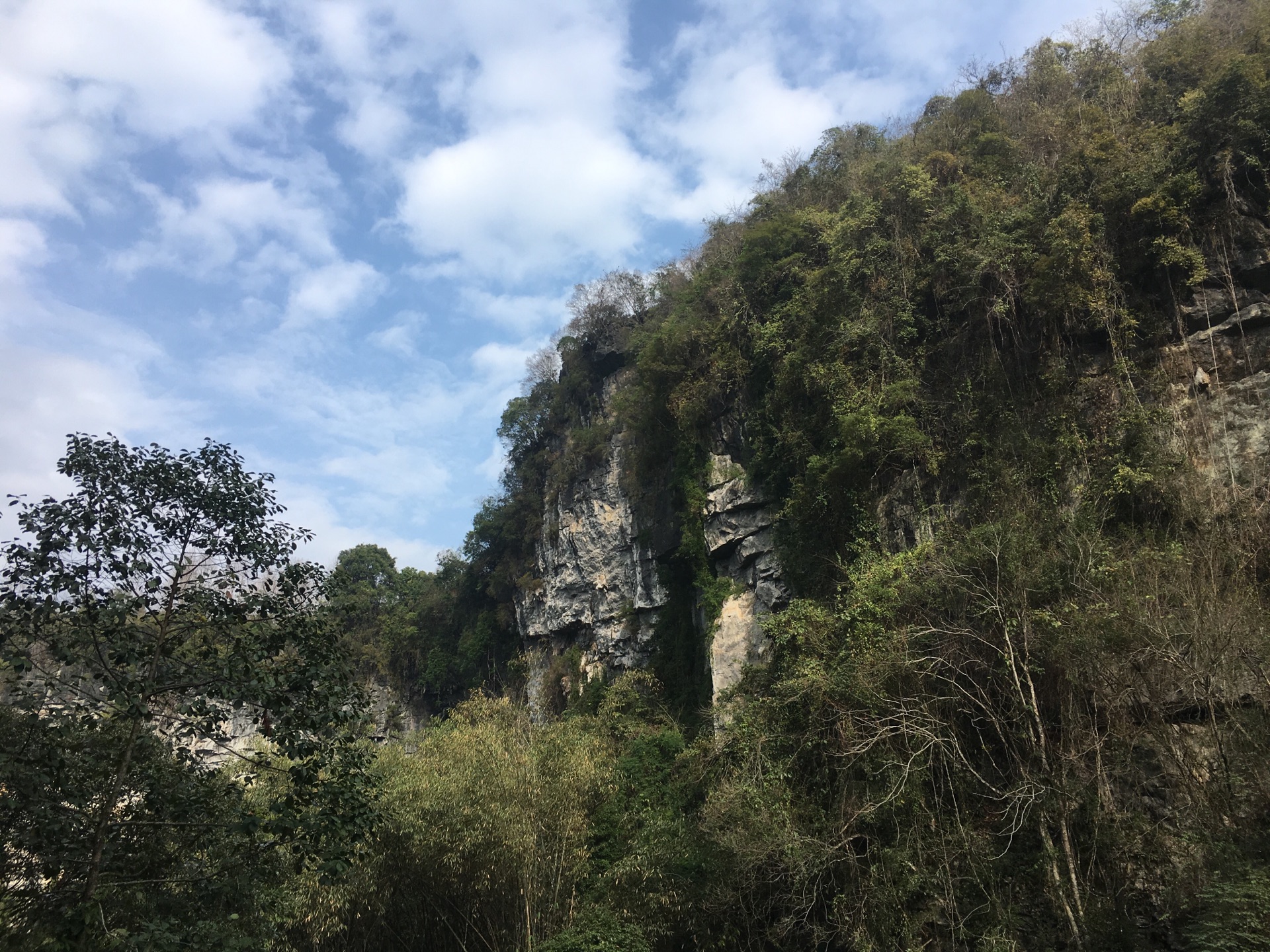 鹿寨人氣榜第一,一路上都是小山路,邊上是人行步道,空氣很好!