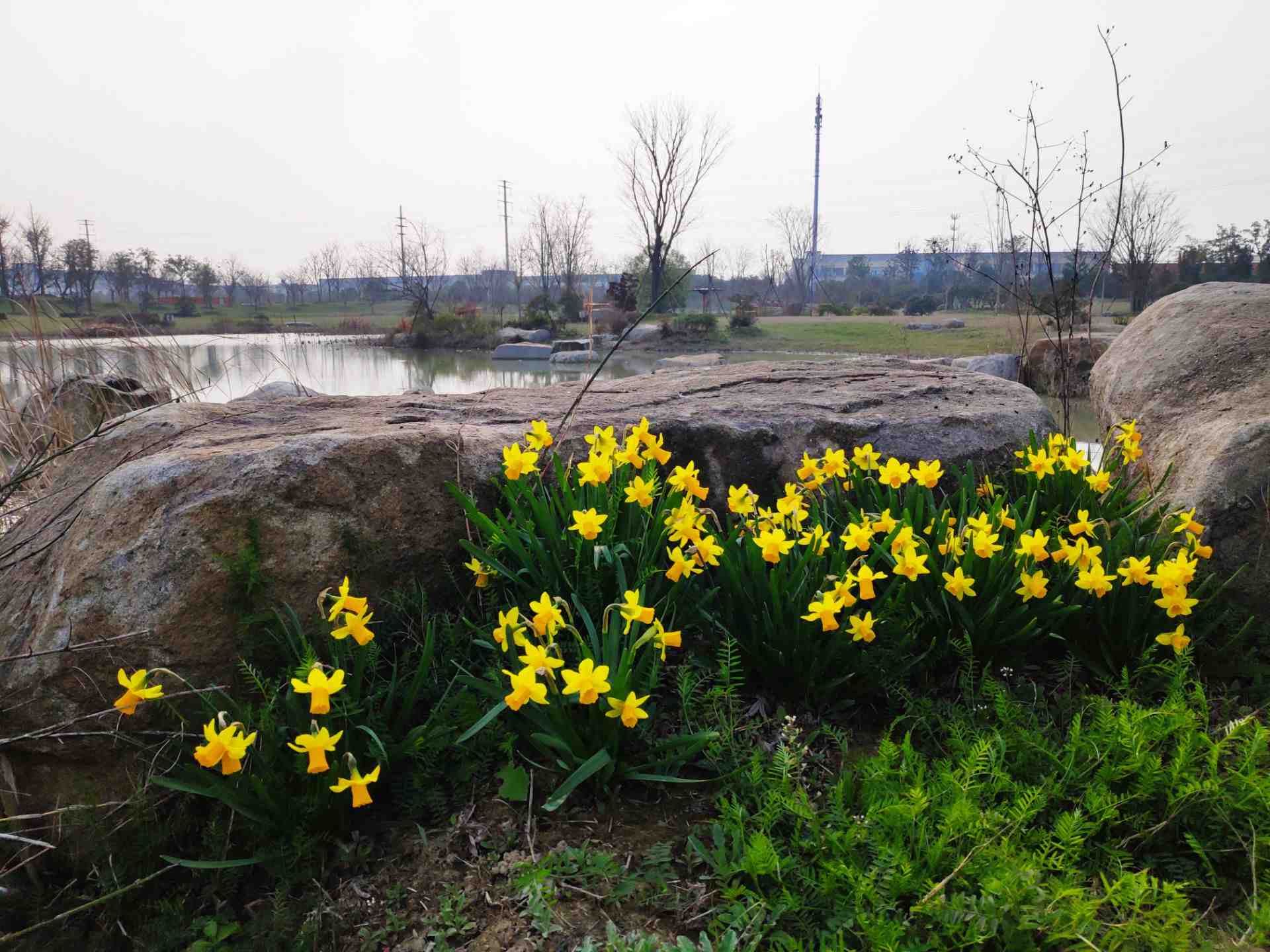 無錫九龍灣花彩小鎮好玩嗎,無錫九龍灣花彩小鎮景點怎麼樣_點評_評價