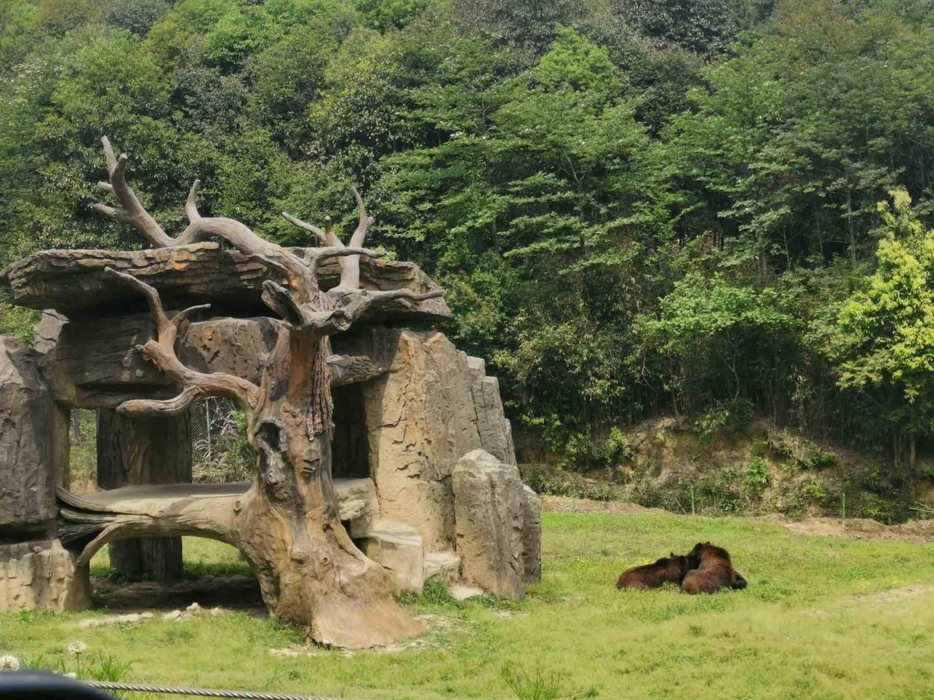 【攜程攻略】杭州杭州野生動物世界適合單獨旅行旅遊嗎,杭州野生動物