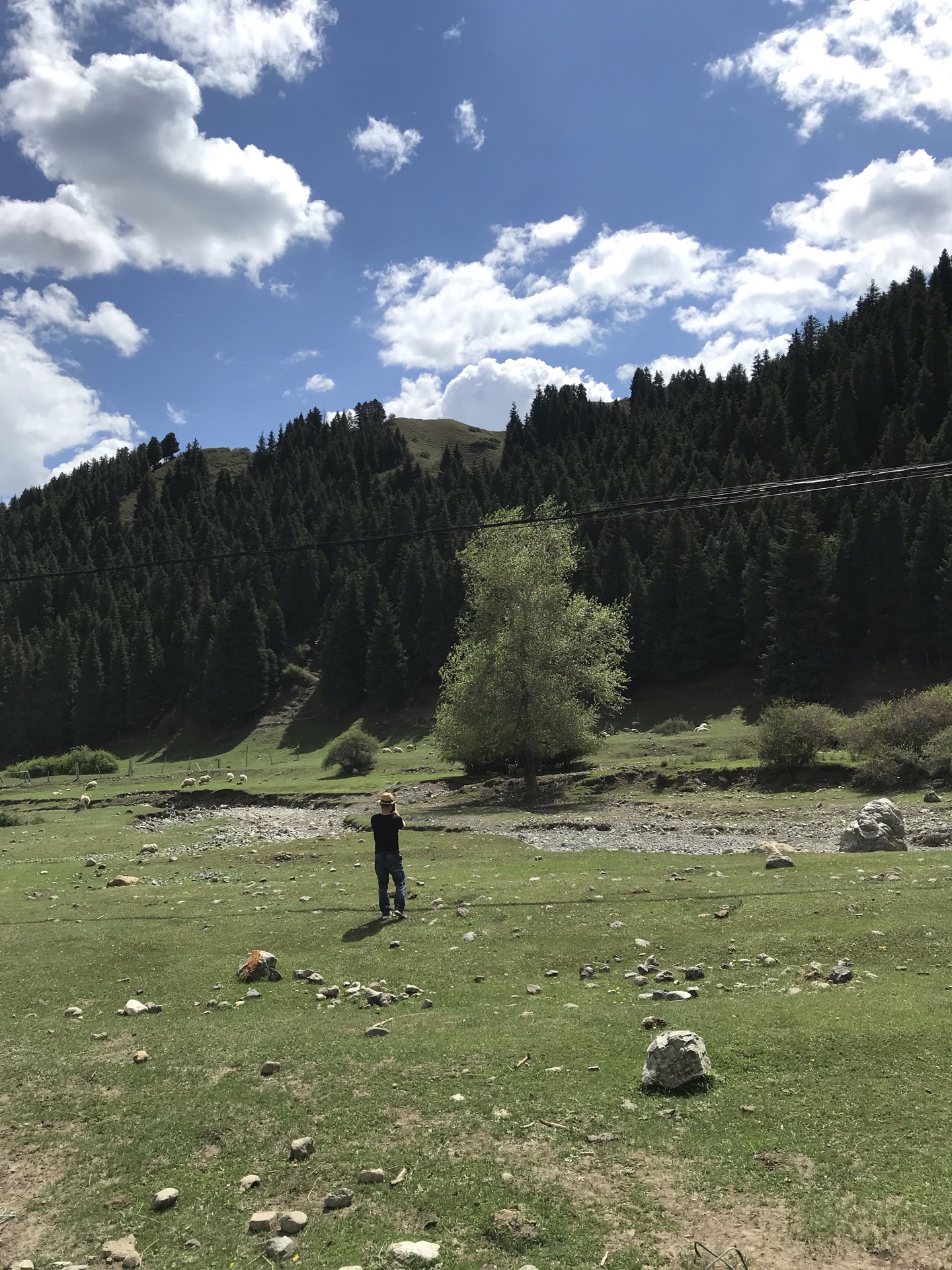 【攜程攻略】烏魯木齊南山牧場適合家庭親子旅遊嗎,南山牧場家庭親子