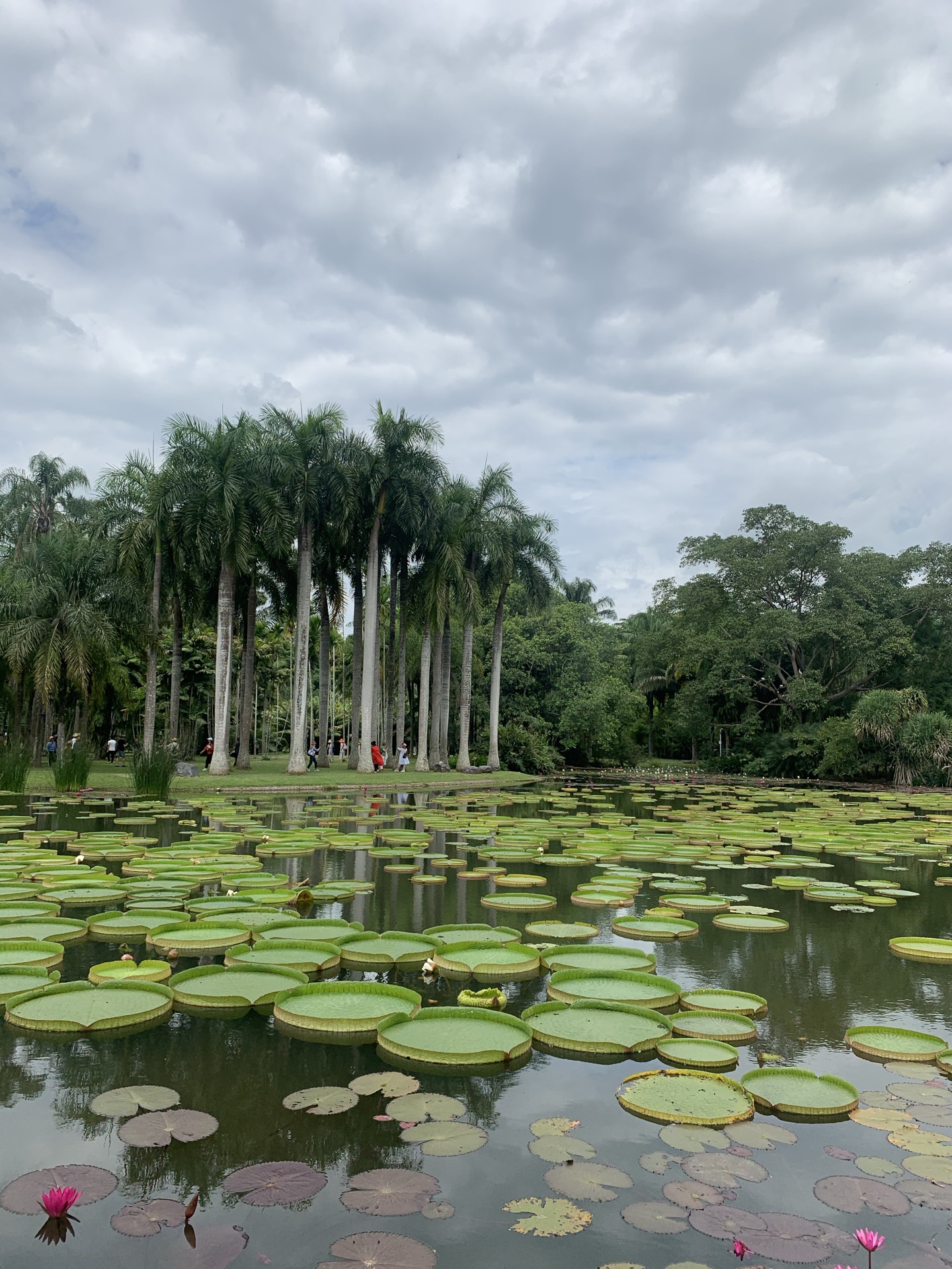 中科院西雙版納熱帶植物園