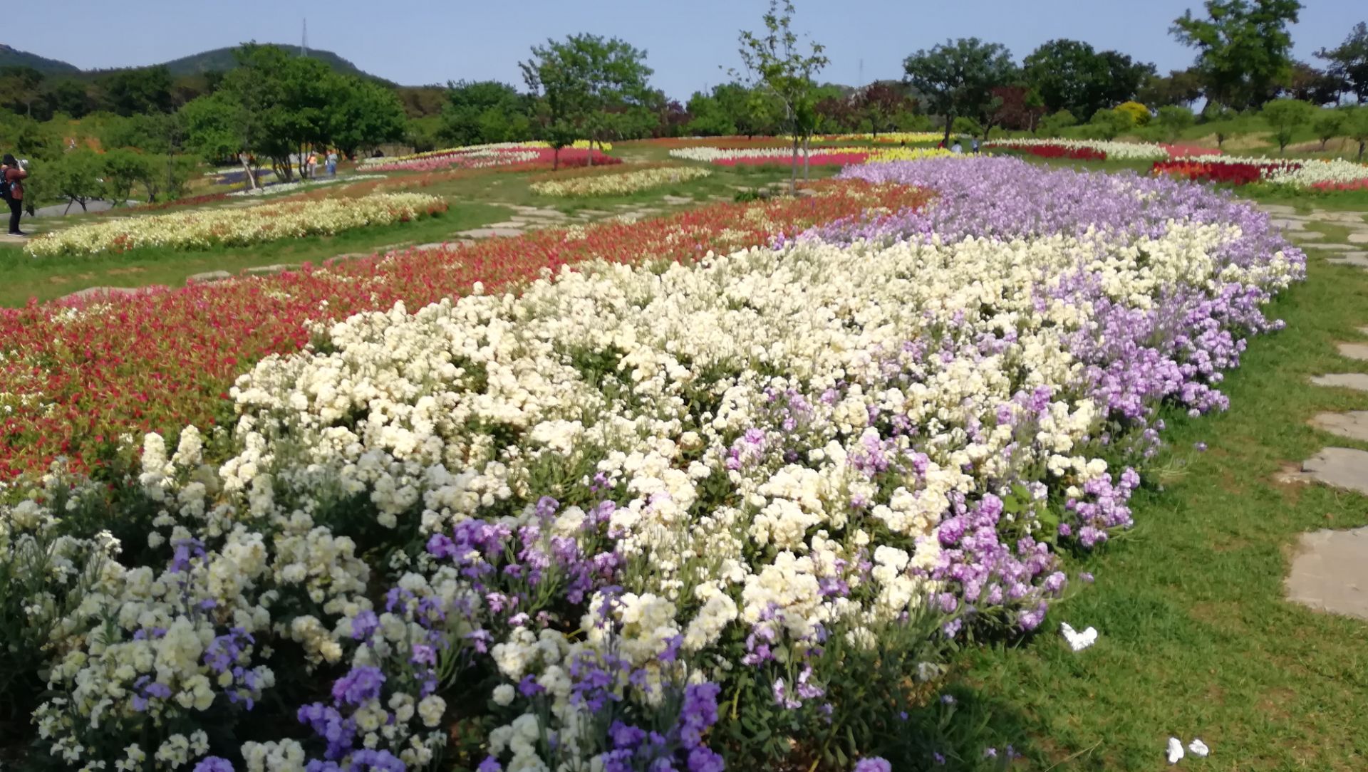 【攜程攻略】旅順口區英歌石植物園適合商務旅行旅遊嗎,英歌石植物園