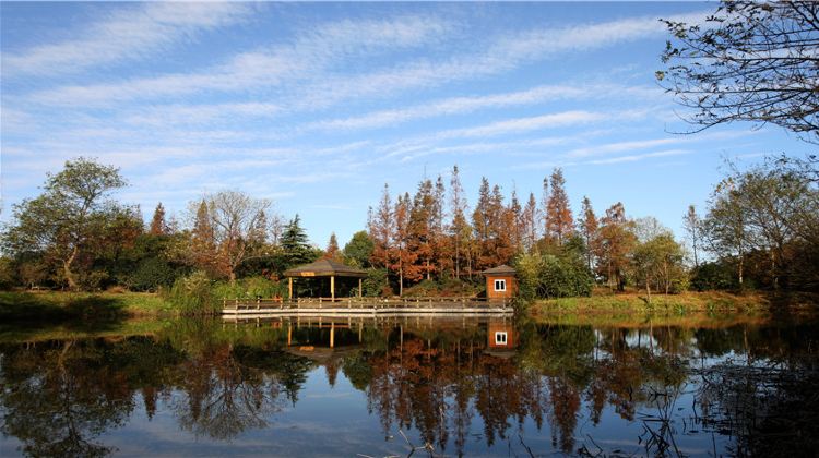 上海滨江森林公园