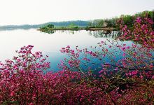 辉南1日游