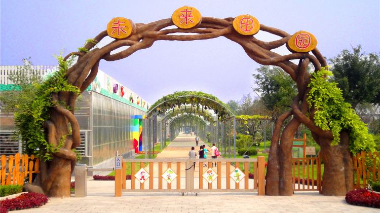 泰山花样年华
