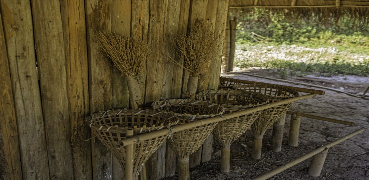2-Day Mengla Tour: Exotic Flora and Majestic Parashorea Chinensis