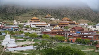 1-Day Alxa Left Banner Tour: The vastness of Tengger Desert, the tranquility of Guangzong Temple