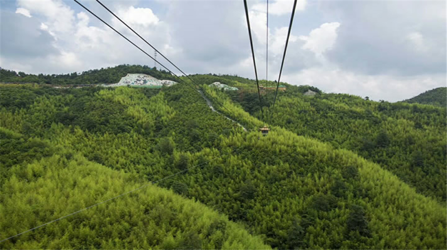 류판수이 & 판저우 3일 투어: 우멍산의 자연의 신비와 고대 은행나무
