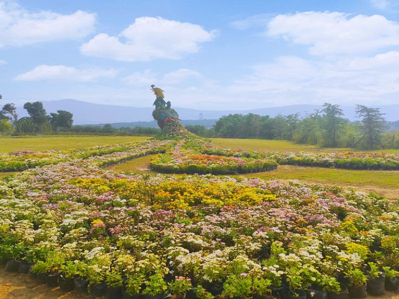 豪泽国际郁金香花海欢乐城