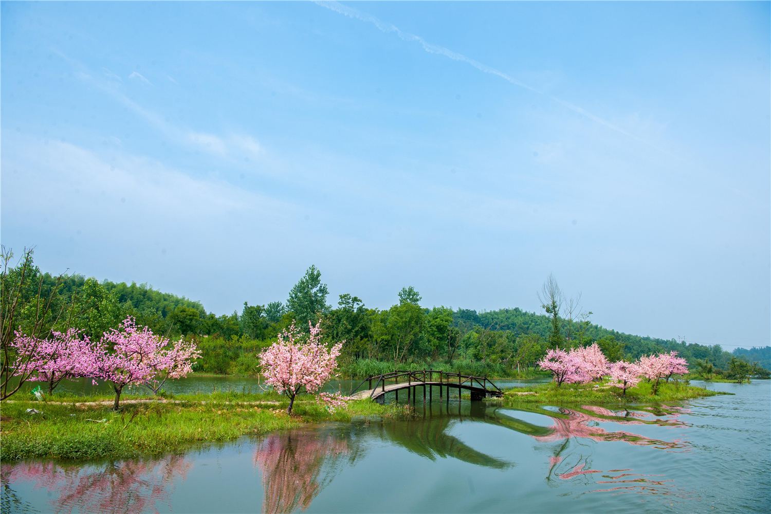 光东村水稻观光园是2017年扩建，今年稻田的景观画是“不忘初心