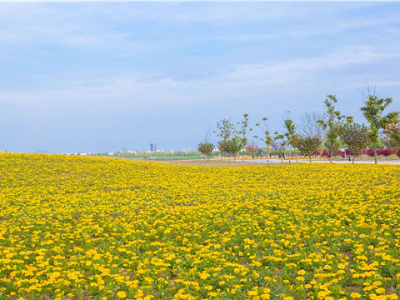 亳州華佗百草園遊玩攻略-華佗百草園門票多少錢/價格表-團購票價預定