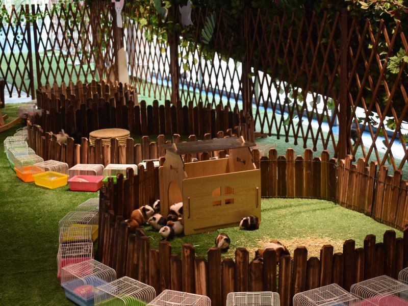 苏州苏州塔高海洋萌宠馆攻略-苏州塔高海洋萌宠馆门票价格多少钱-团购