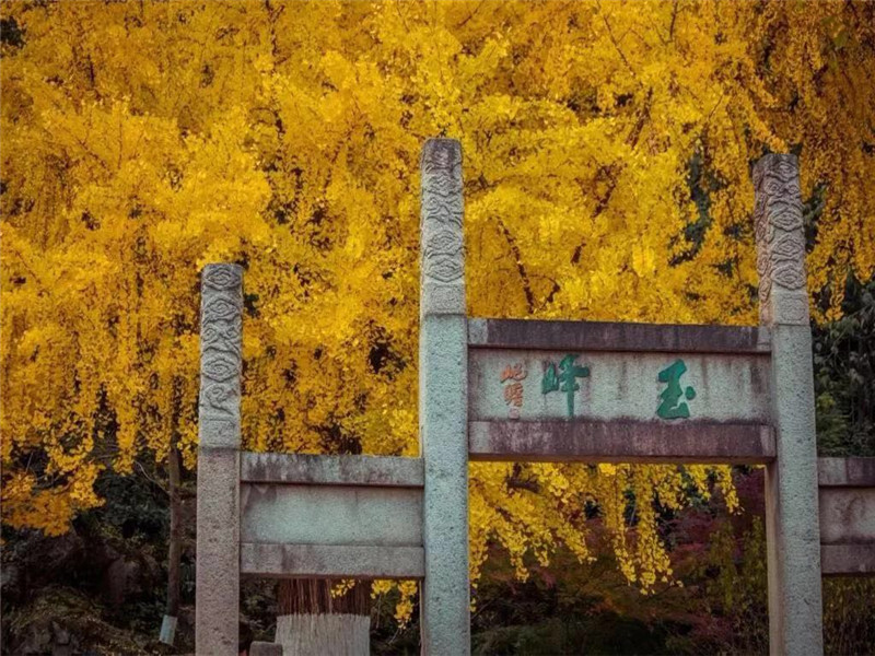 2-Day Kunshan Tour: Garden Elegance and Old Town Grace, The Essence of Kunshan in Two Days