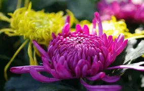 1-Day Tieling Tour: Explore Lotus Wetland Park and Underground River Dragon Palace