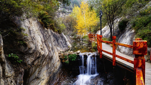 【拓展團建 鐵鍋燉魚 採摘】北京清涼穀風景區一日遊