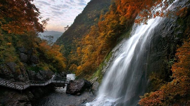 遂昌神龙谷攻略-神龙谷门票价格多少钱-团购票价预定优惠-景点地址