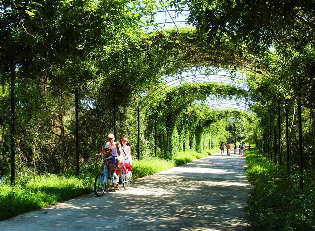饒平3日遊:青嵐地質公園奇觀、汛洲島的島嶼魅力及西澳島