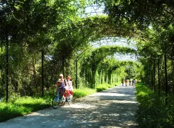 3-Day Raoping Tour: Geological Wonders of Qinglan Geopark, Island Charm of Xunzhou and Xi'aodao