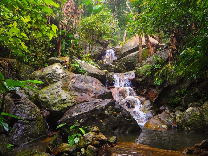 瓊中海南百花嶺熱帶雨林文化旅遊區攻略-海南百花嶺熱帶雨林文化旅遊