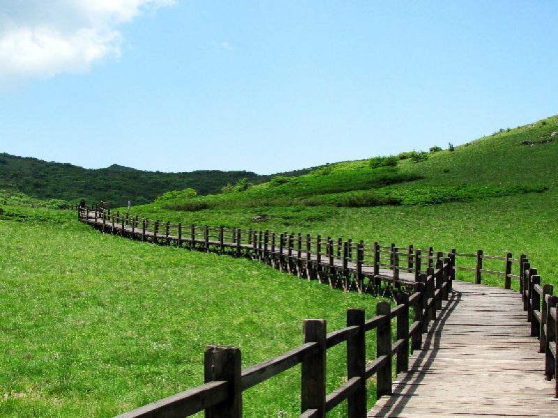 留坝紫柏山国家森林公园攻略-紫柏山国家森林公园门票价格多少钱-团购