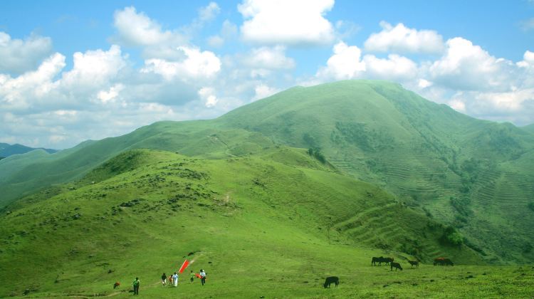 信宜天马山生态旅游区攻略 天马山生态旅游区门票价格多少钱 团购票价预定优惠 景点地址图片 携程攻略 信宜天马山生态旅游区攻略 天马山生态旅游区门票价格多少钱 团购票价预定优惠 景点地址图片 携程攻略