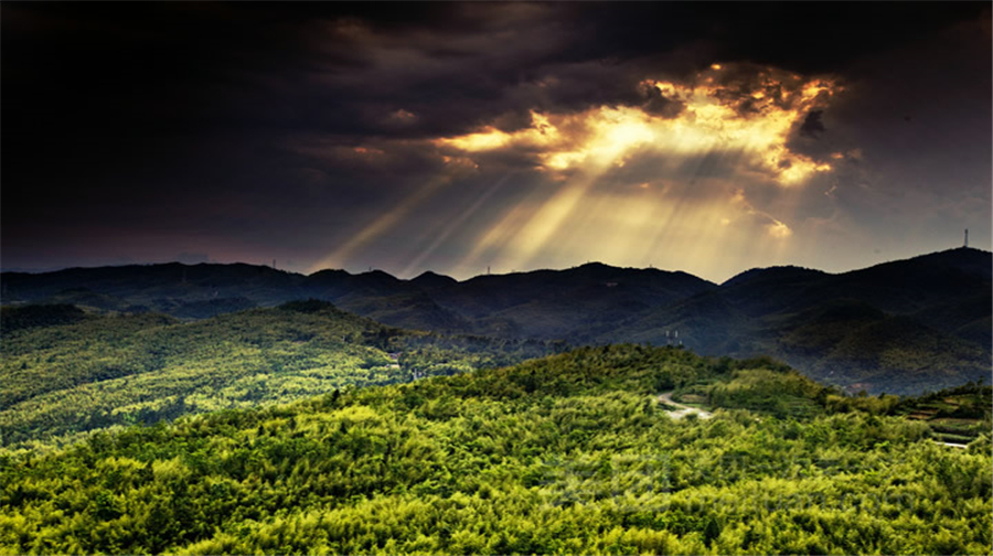 2-Day Panzhou Tour: Wumeng Grassland's Scenic Views, Tuo Le's Ancient Ginkgo in Autumn