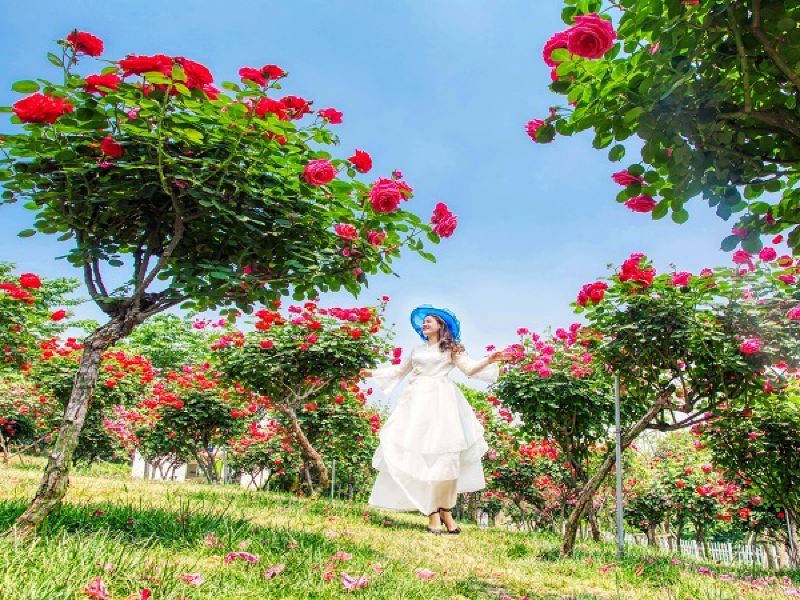 新都區漫花莊園攻略-漫花莊園門票價格多少錢-團購票價預定優惠-景點