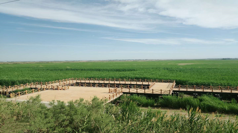 3-Day Shache Tour: Silk Road culture, wetlands and ancient city views