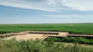 3-Day Shache Tour: Silk Road culture, wetlands and ancient city views