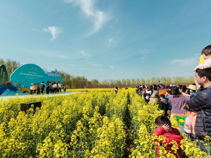 陳橋宋源湖溼地公園