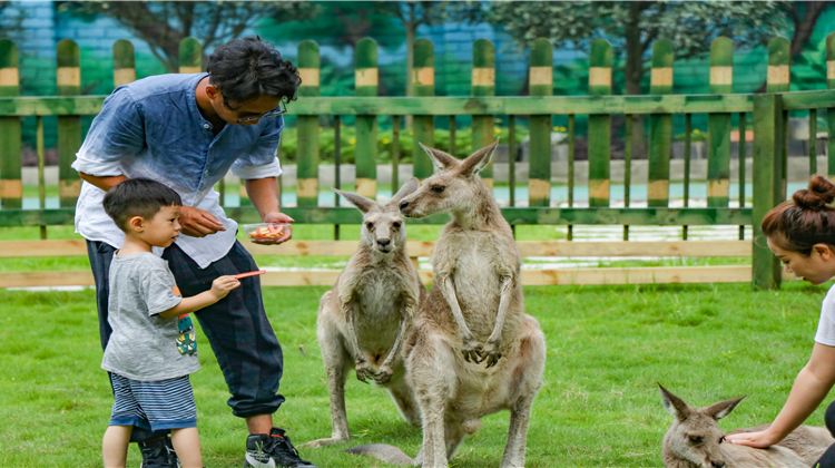 成都七彩海巢欢乐世界攻略-七彩海巢欢乐世界门票价格多少钱-团购票价