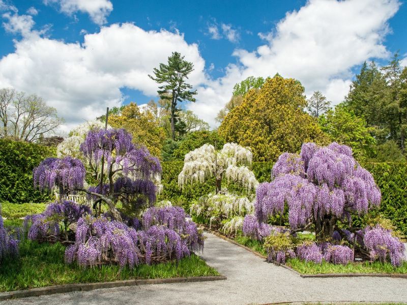 费城长木花园攻略-长木花园门票价格多少钱-团购票价预定优惠-景点