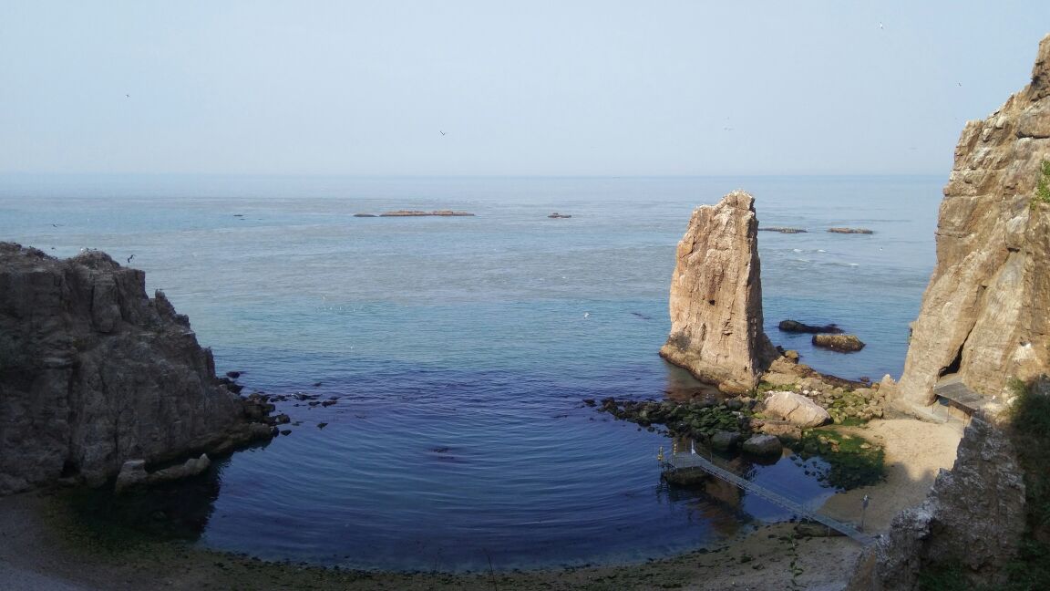 榮成海驢島好玩嗎,榮成海驢島景點怎麼樣_點評_評價【攜程攻略】