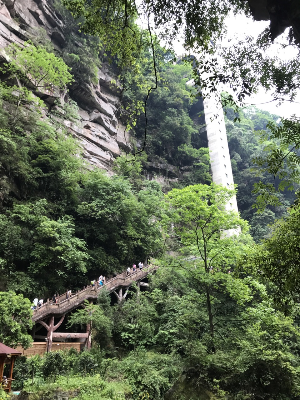 【携程攻略】雅安碧峰峡好玩吗,雅安碧峰峡景点怎么样_点评_评价