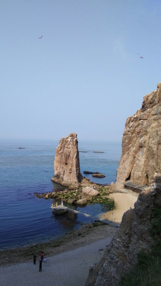 榮成海驢島好玩嗎,榮成海驢島景點怎麼樣_點評_評價【攜程攻略】