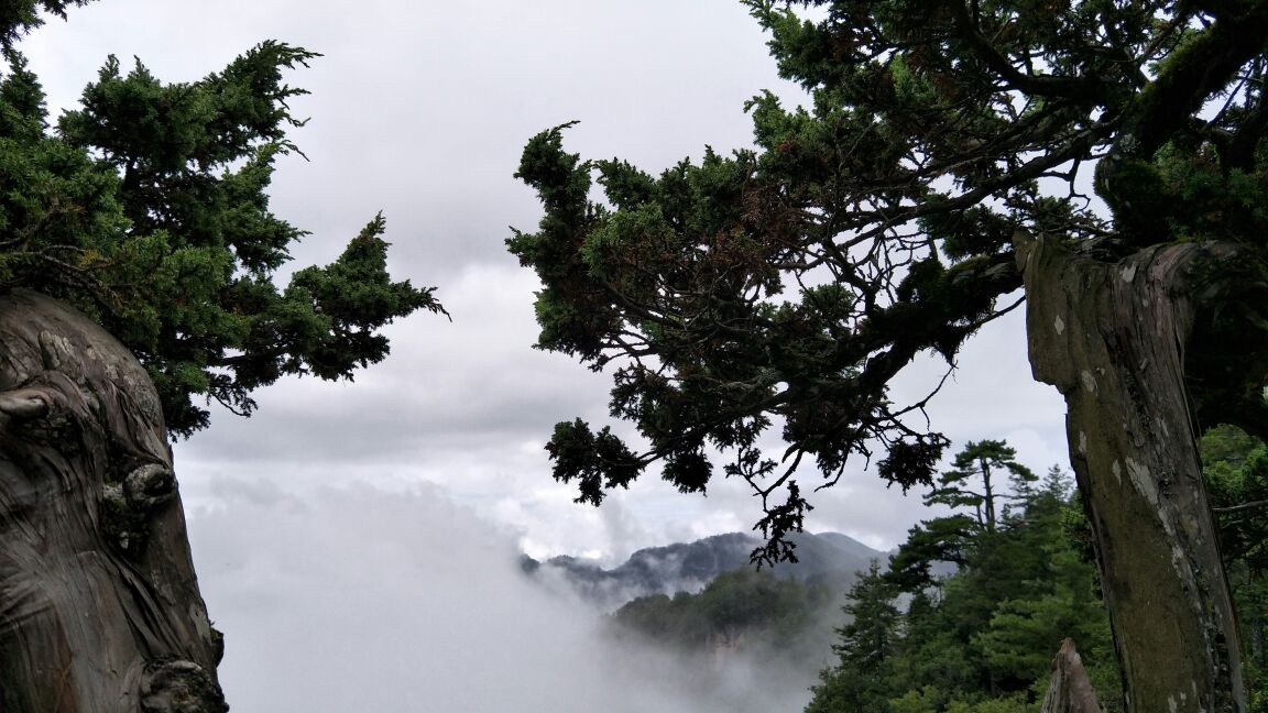 【携程攻略】神农架神农顶风景区好玩吗,神农架神农顶风景区景点怎么