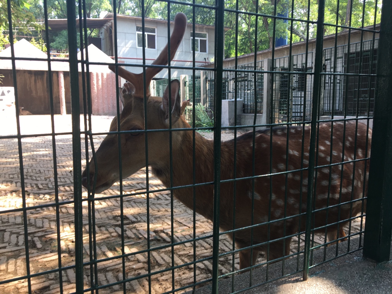 保定市動物園