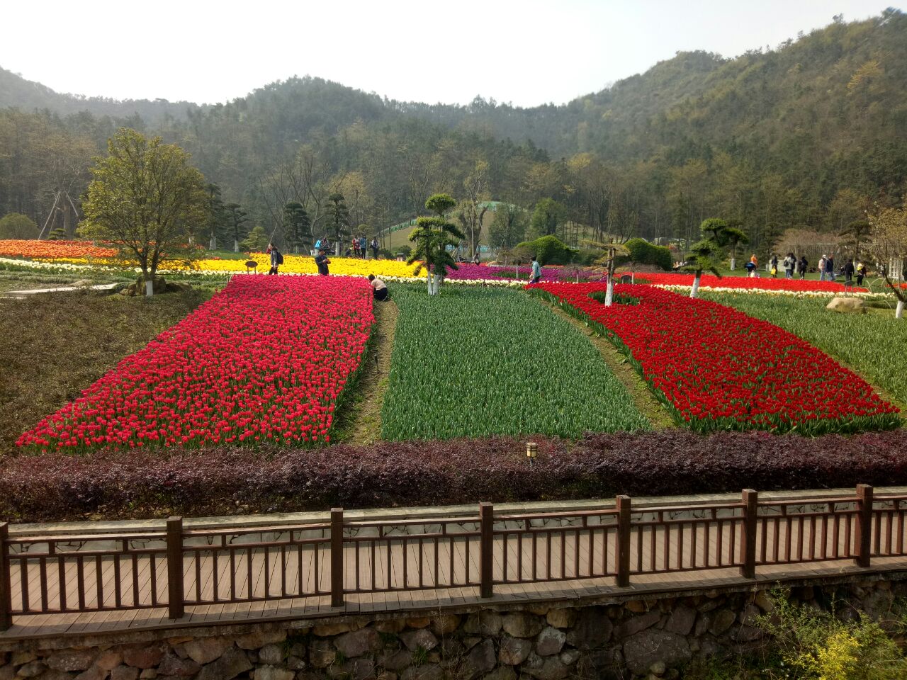 东钱湖南苑花博园