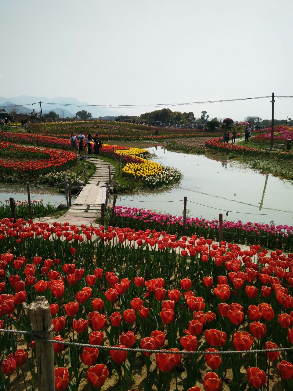 舟山赏花地图片