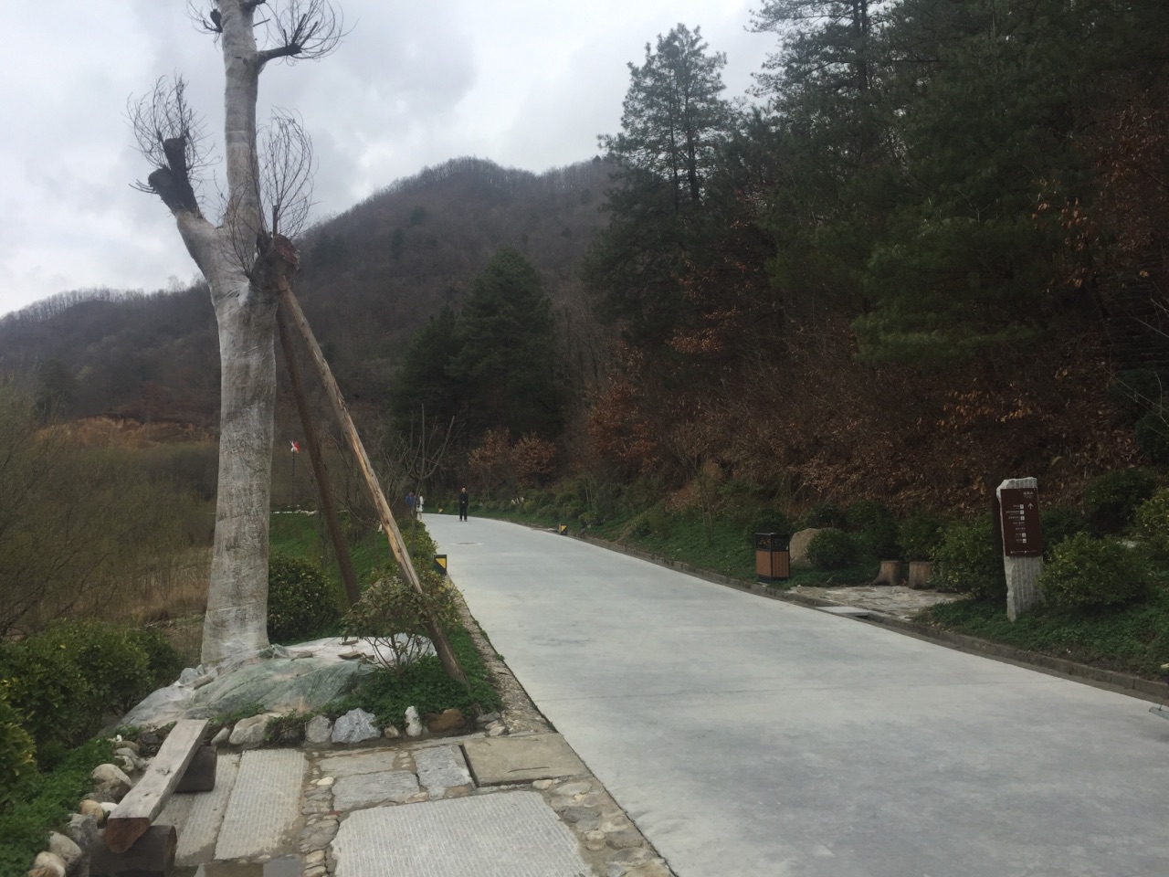 宁陕陕西秦岭悠然山高山湿地景区好玩吗,宁陕陕西秦岭悠然山高山湿地