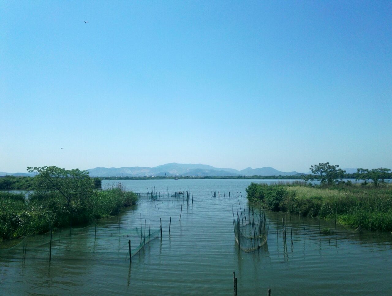 下渚湖照片图片