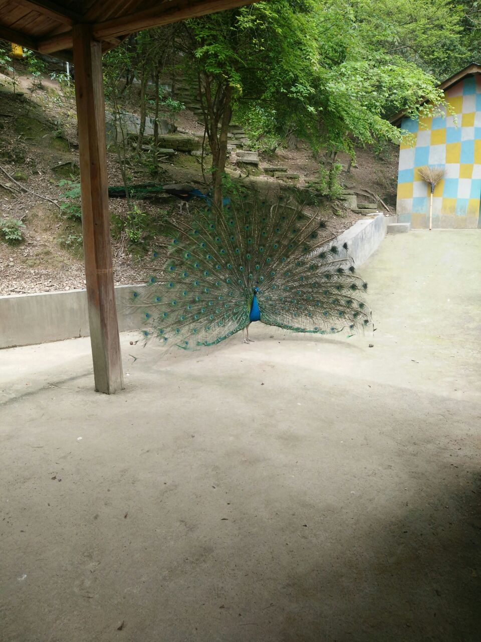 金華動物園