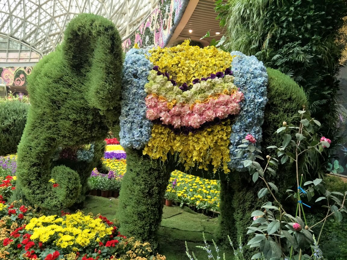 【携程攻略】昆明花之城好玩吗,昆明花之城景点怎么样_点评_评价