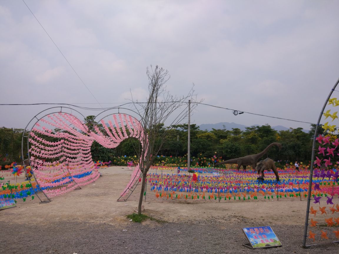 清远花卉小镇好玩吗,清远花卉小镇景点怎么样_点评_评价【携程攻略】