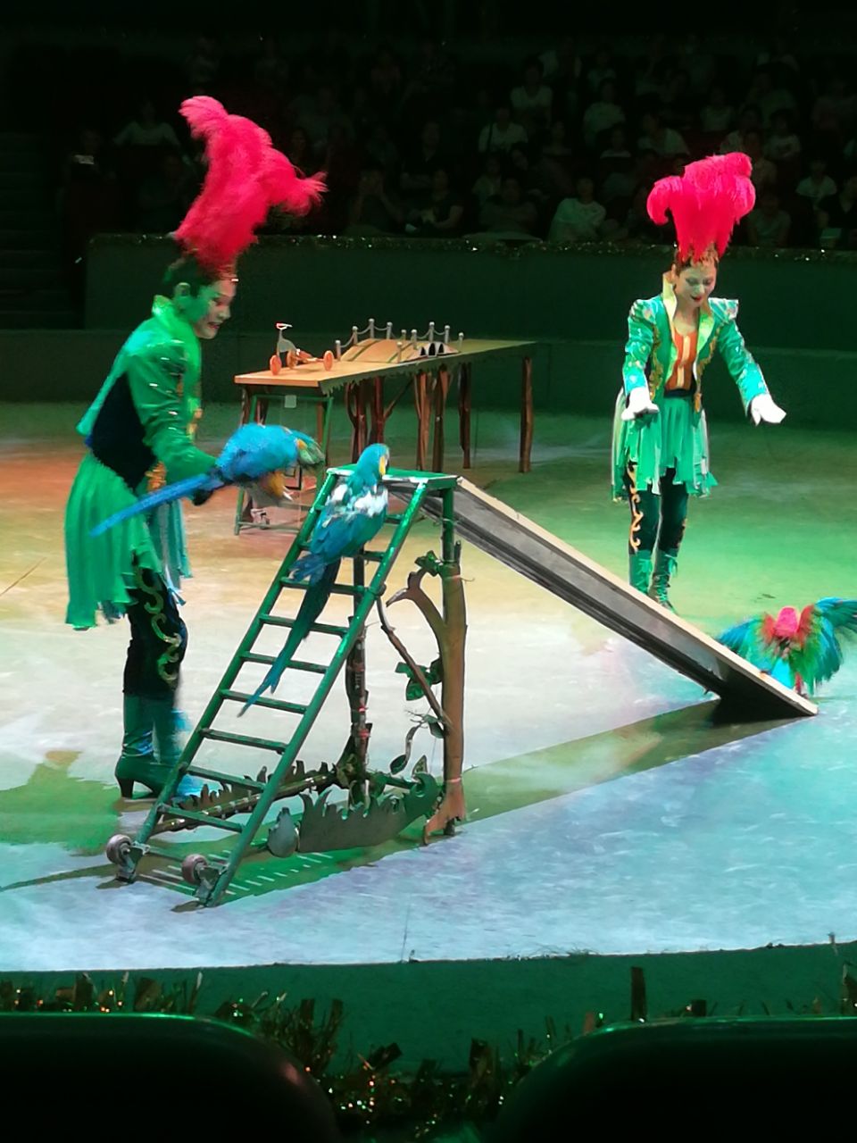 《欢乐马戏》演出