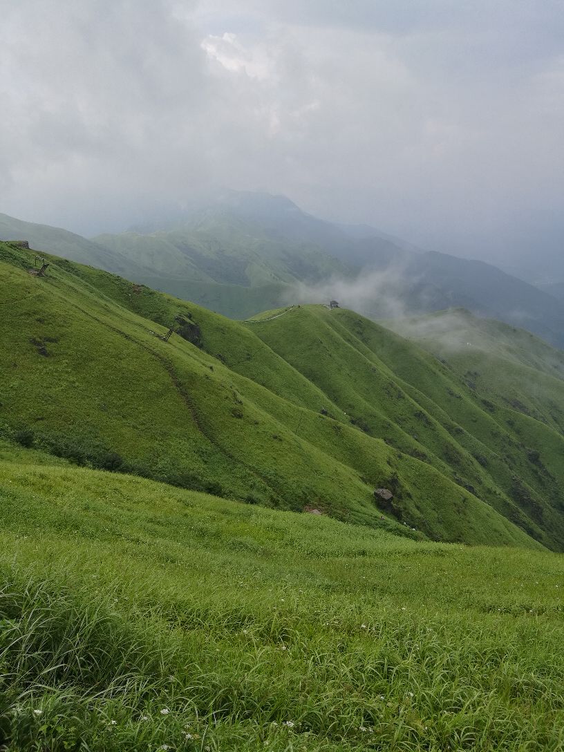 【攜程攻略】蘆溪萍鄉武功山風景區景點,高山草甸和雲海風景非常美