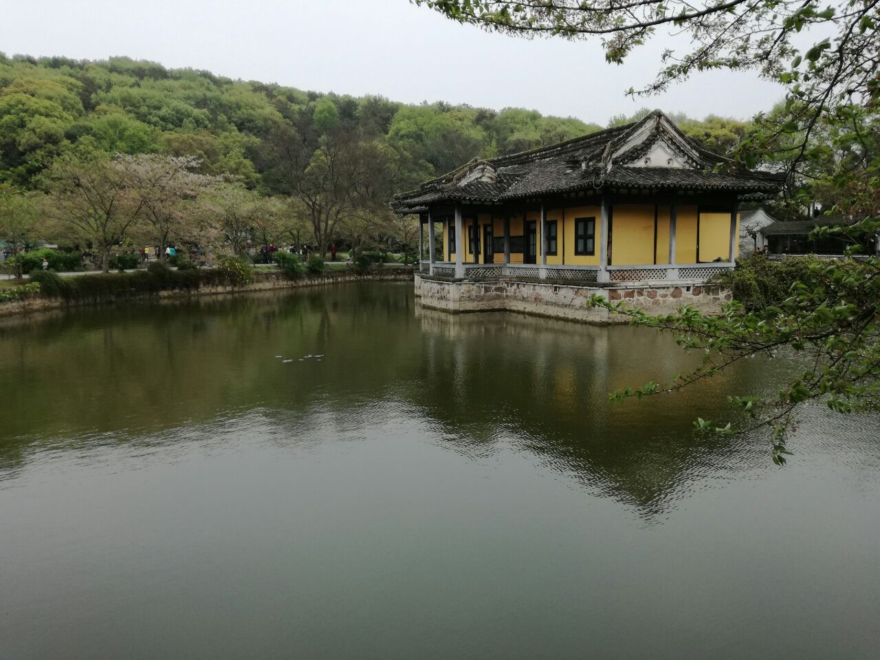 【太湖踏青遊】無錫黿頭渚 太湖仙島一日遊(揚州出發)