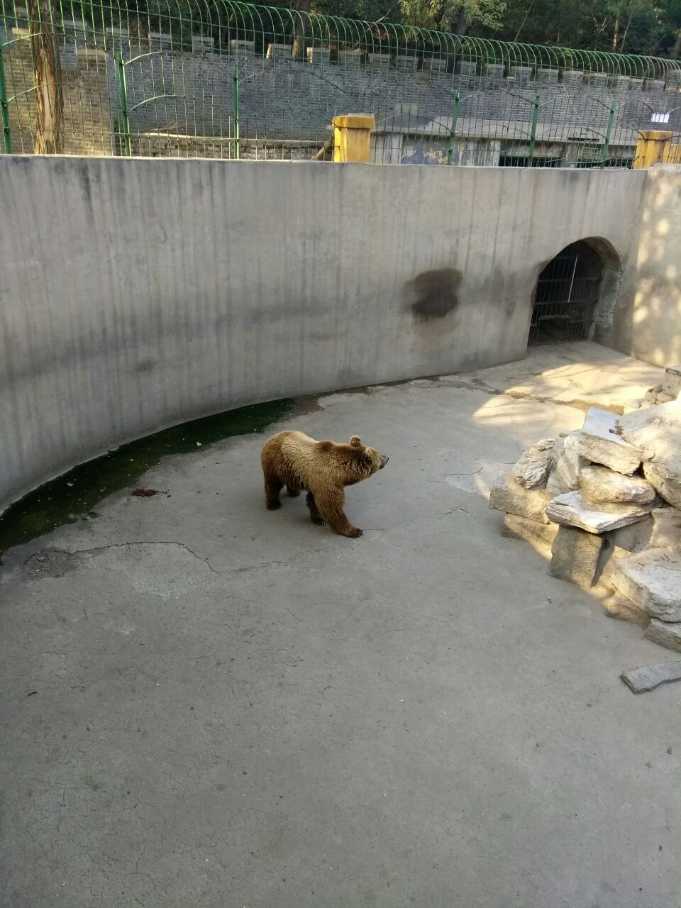 保定市動物園