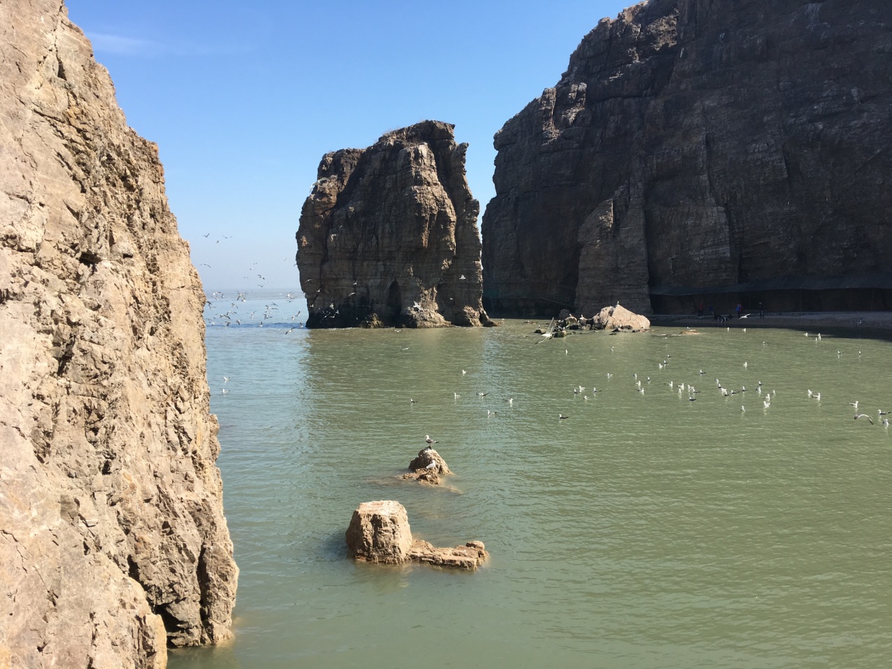 榮成海驢島好玩嗎,榮成海驢島景點怎麼樣_點評_評價【攜程攻略】