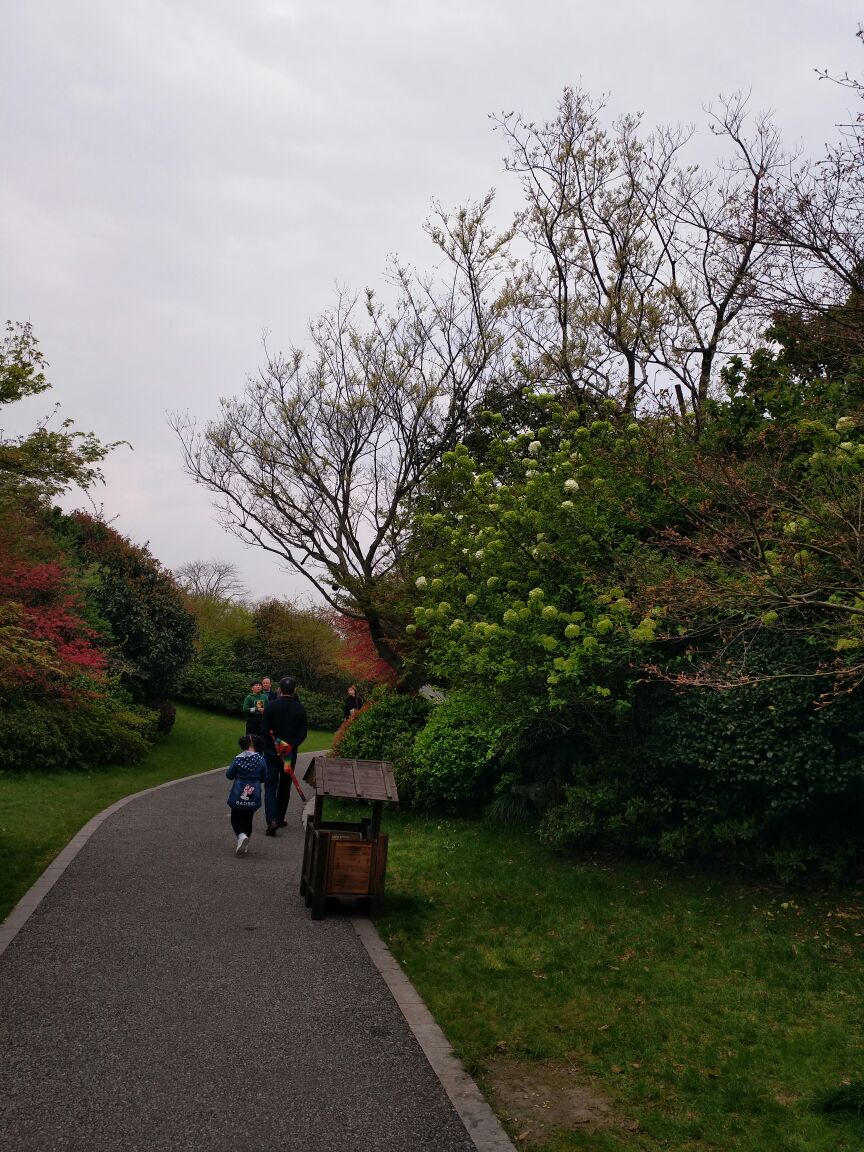 阳山桃花岛景观公园